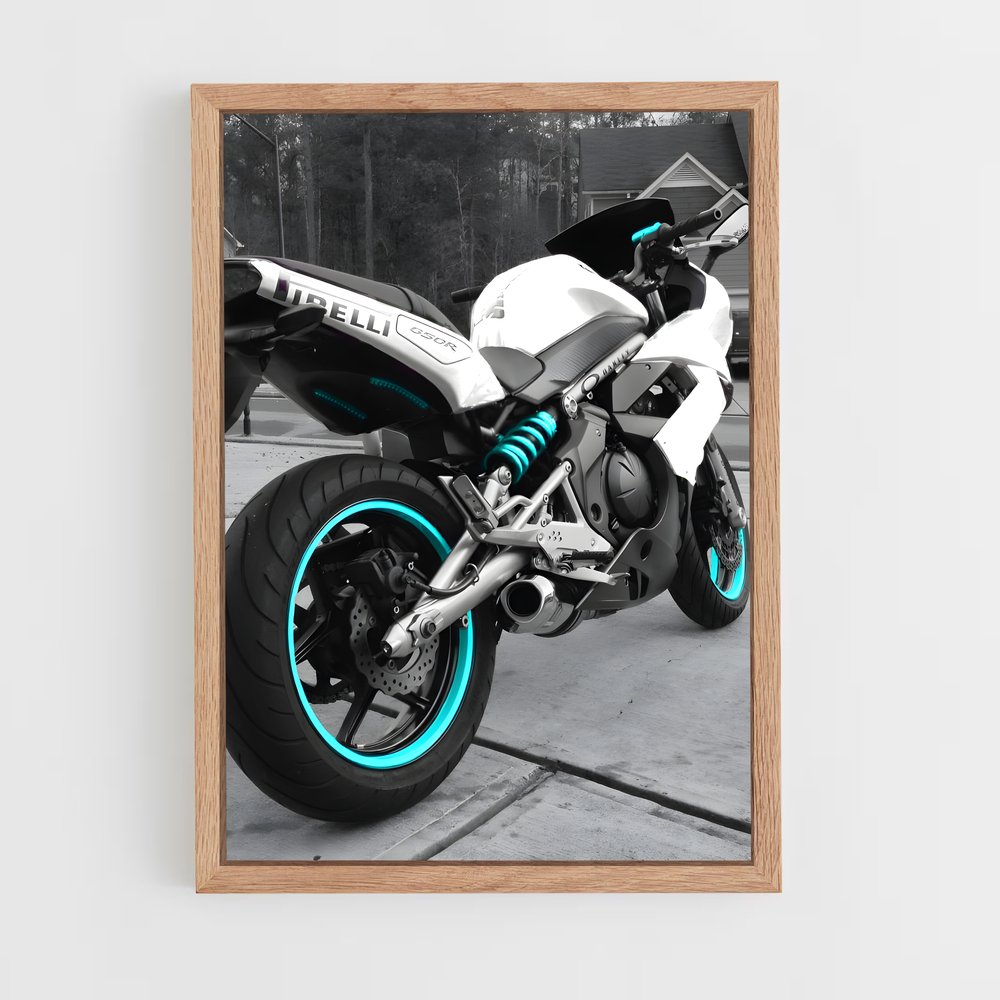 Poster Route 650 (vue 4)